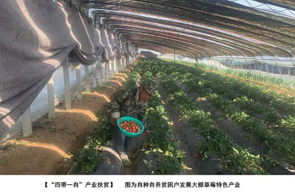 beat365官方网站正规_365bet注册送奖金_bt365开户2020年民生工程实施成果图集
