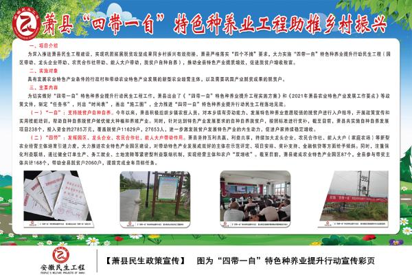 beat365官方网站正规_365bet注册送奖金_bt365开户民生工程政策宣传